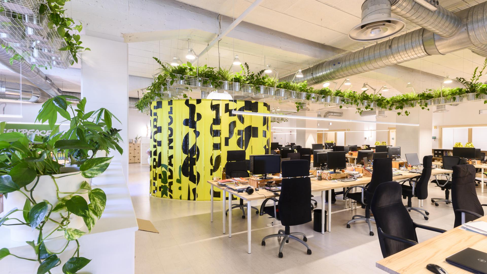 Oficina Greenpeace España